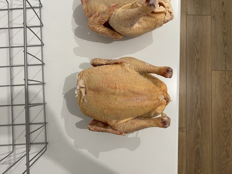 Домашний бройлер без гмо