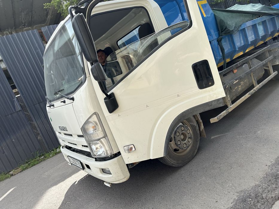 Dastavka shebel klinilins shagal