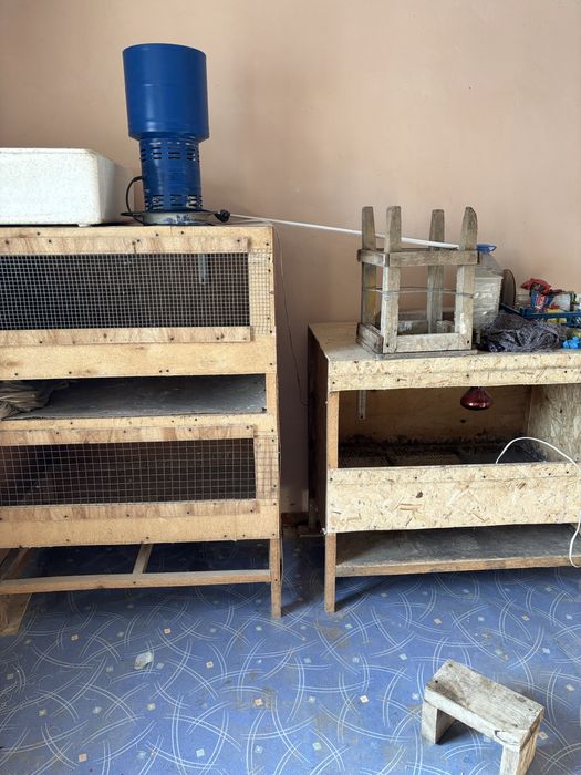 Клетки для перепелов