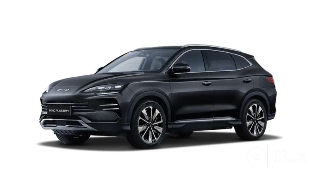 Byd song plus champion