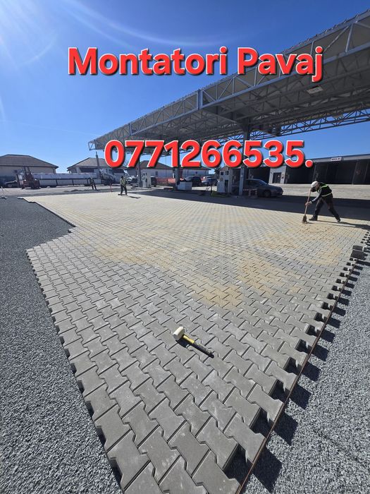 Pavele Borduri Montaj