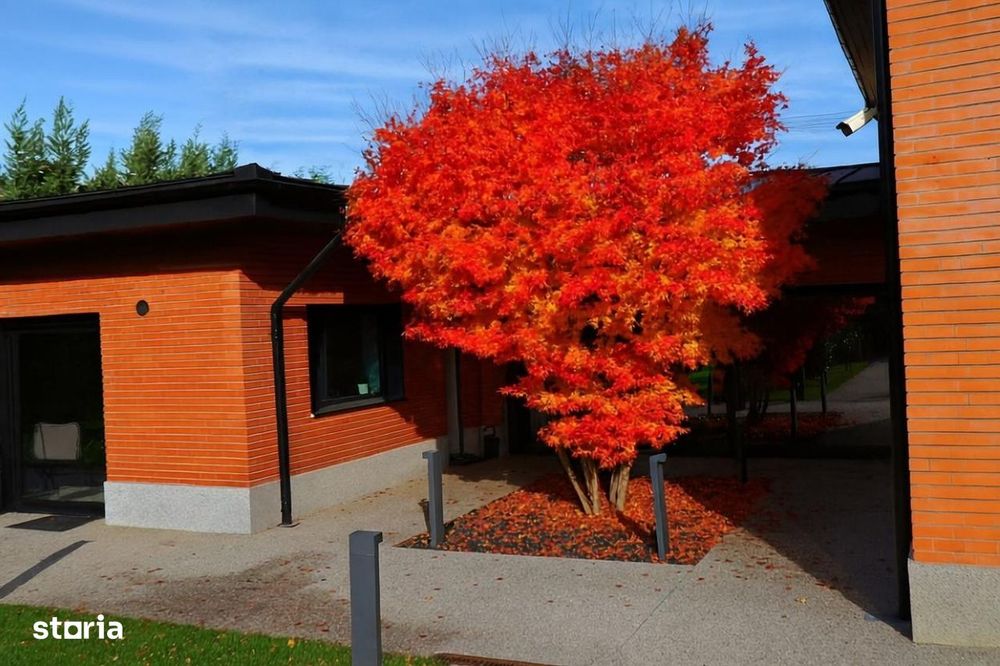 Vila Mediteraneană deosebită, amplasată într-o locație de vis, Bucium
