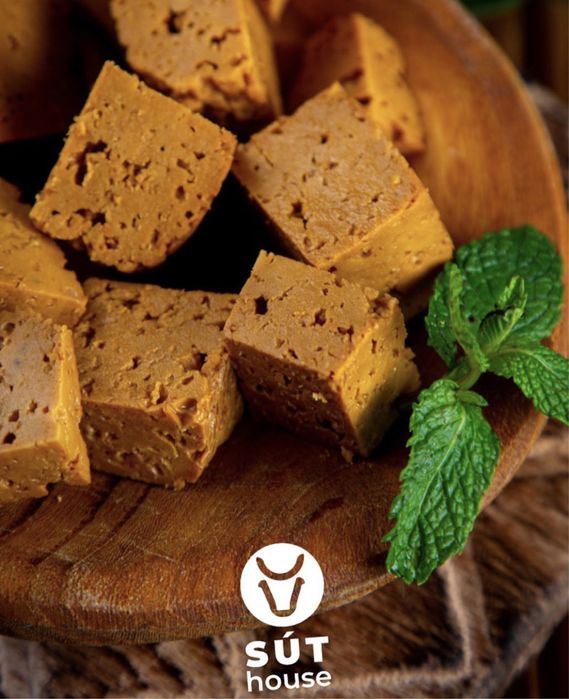 Курт құрт оптовая цена