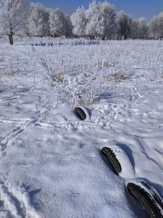 Участки в аренду