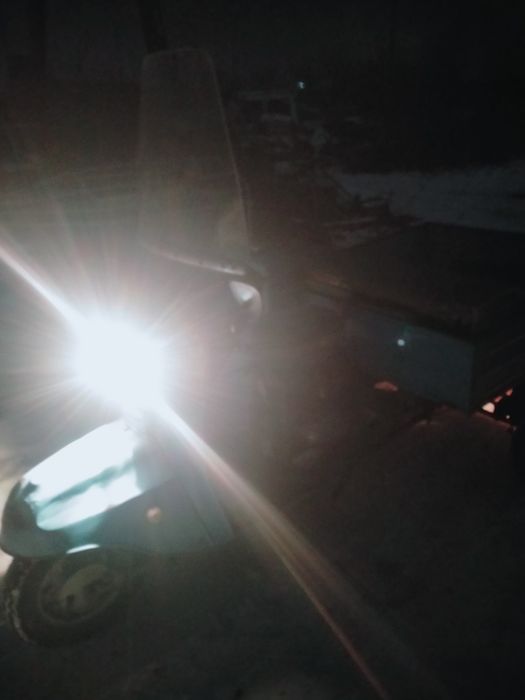 Продаётся Муравей