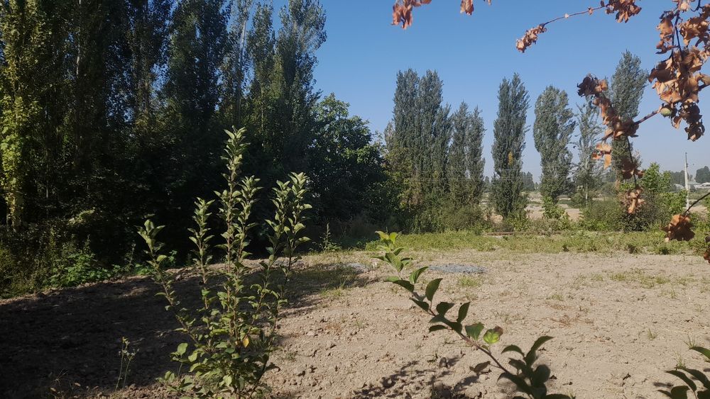 Srochna yer uchastka sotiladi  sotigi 12 000$ dannarxi kelishiladi