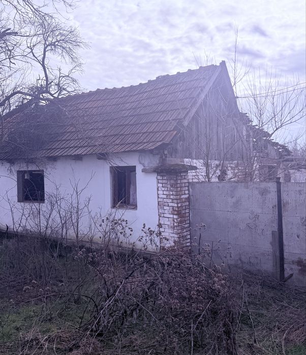 Trei case de vanzare cu 1400 m.p pamant jud  Arad sat rapsig…