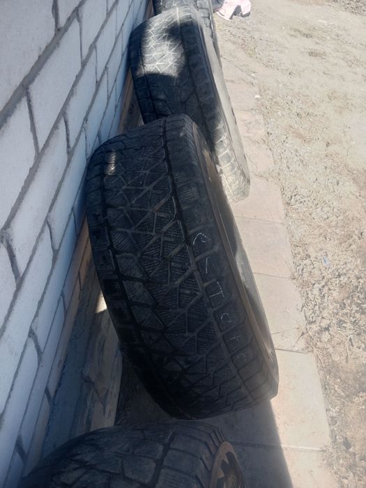 Жазгы догалак сатылыды