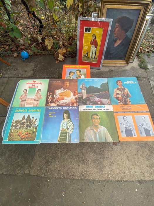 Discuri de vinil