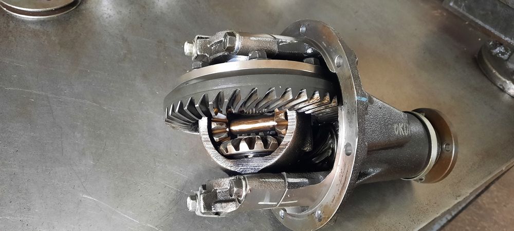 Zadnimos bor damas labo garantiyali