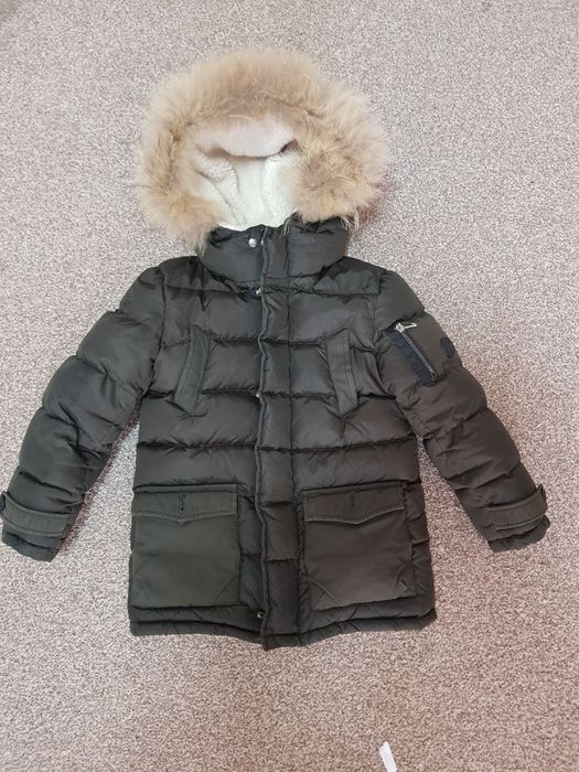 Яке гъши пех и лисица Treapi/Baby A