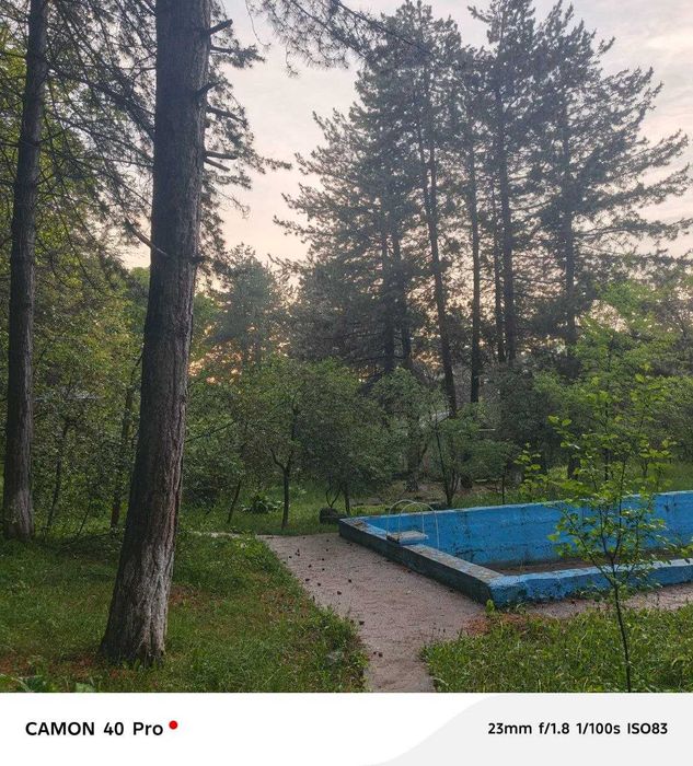 KUMUSHKON sanatoriya oldidan zor YER 55 sotok 80 yillik archala