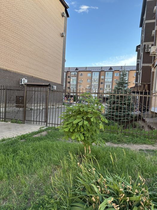 Продам 3х комн квартиру