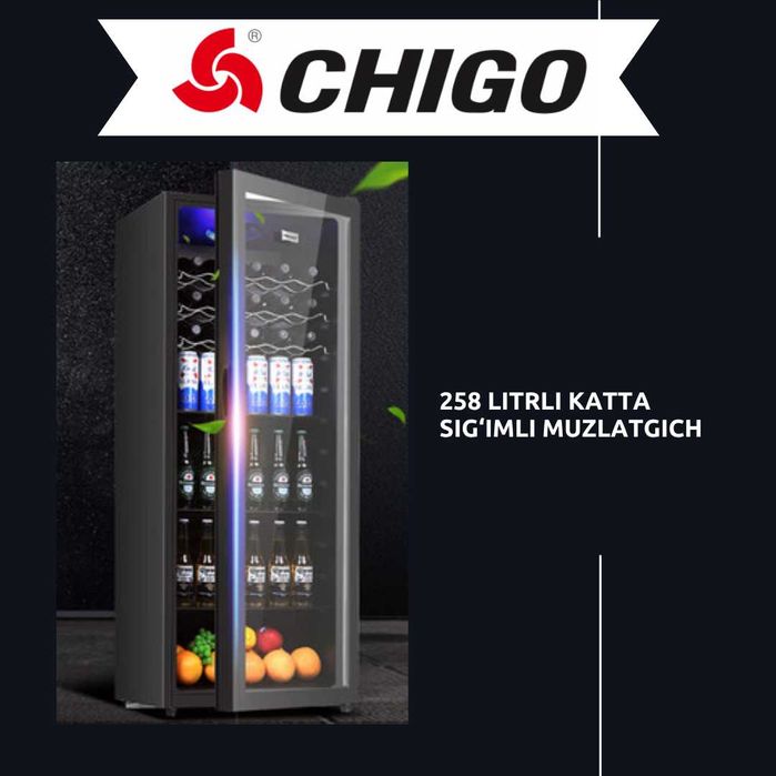 CHIGO 220V BC-58 58L