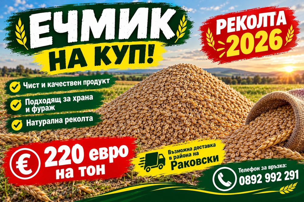 Ечимик реколта 2026г.