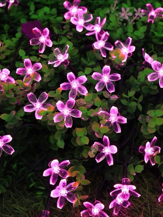 10М Соларна светлинна верига