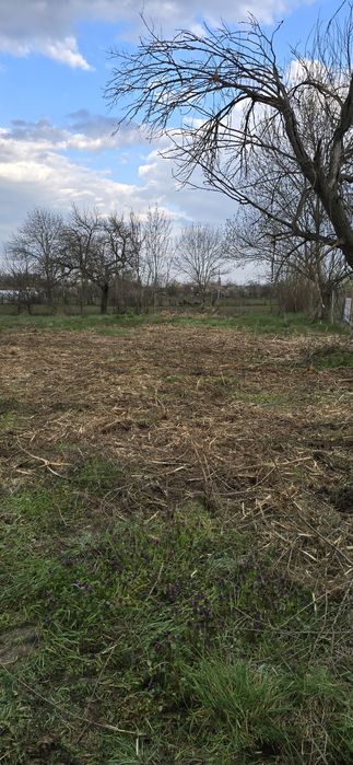 Продава се Парцел в с. Землен, Област Стара Загора - 2862 кв.м за 5 €/кв.м - Снимка #4