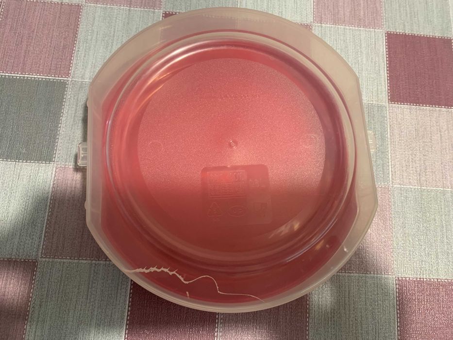 Плато за сервиране на мезета и кутия за храна Кока Кола 2 броя.