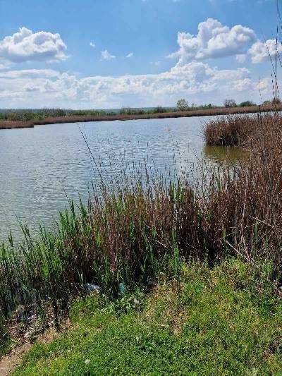 Продава се Парцел в с. Софрониево, Област Враца - 123000 кв.м за 2 €/кв.м - Снимка #5