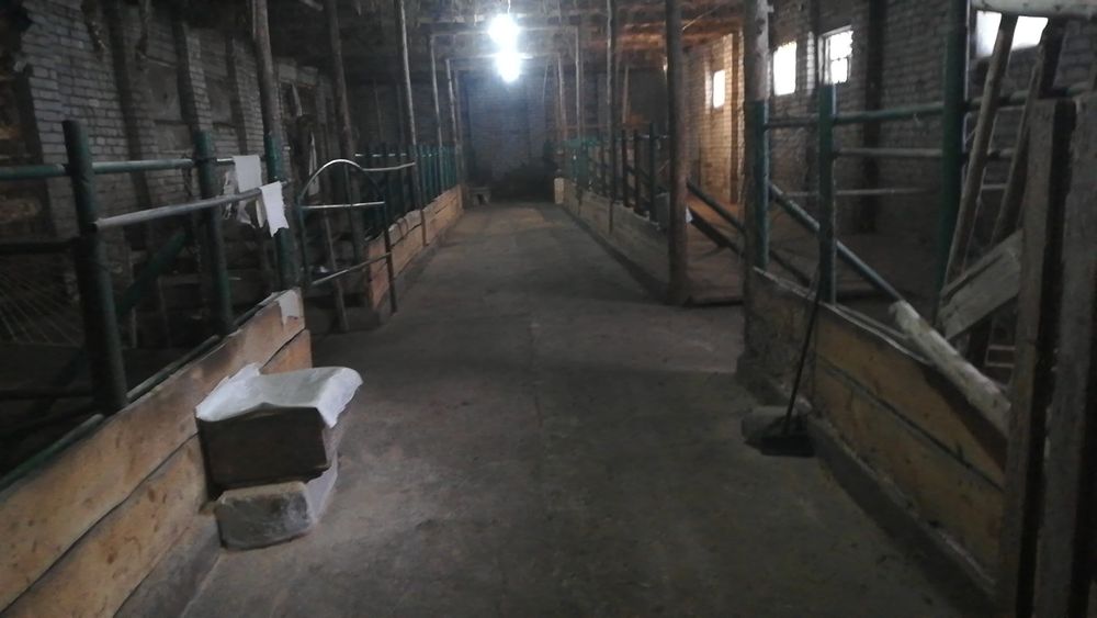 Продам фермерское хозяйство.