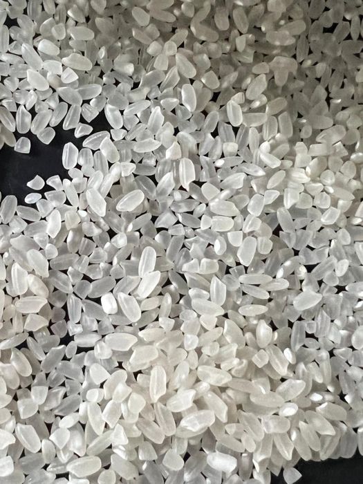 Сорт  «ЛИДЕР” Высокого Качества