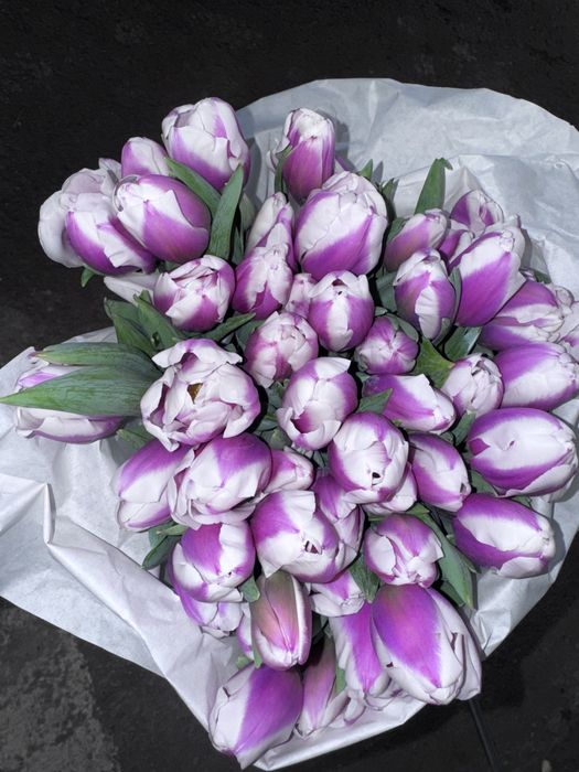 Тюльпаны опт и розница