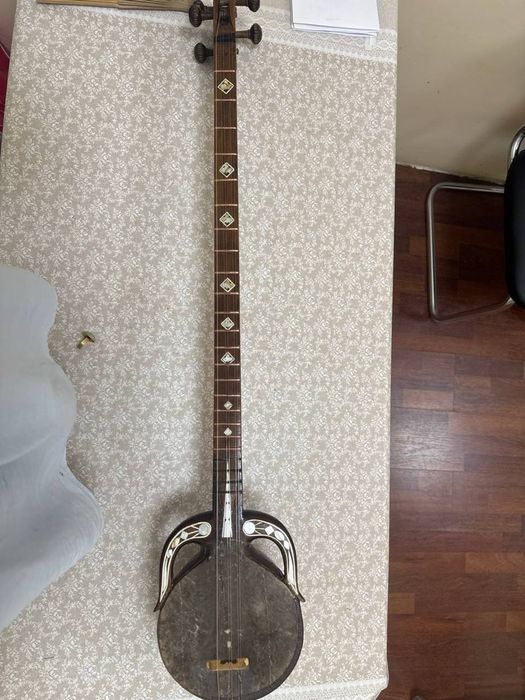 Qashqar rubobi professional