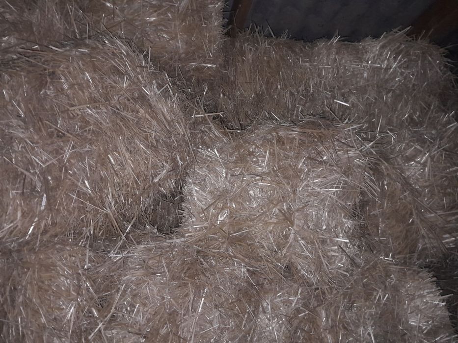 Сельхоз животное