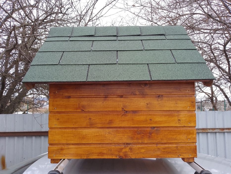 Cușca câine din lemn izolată