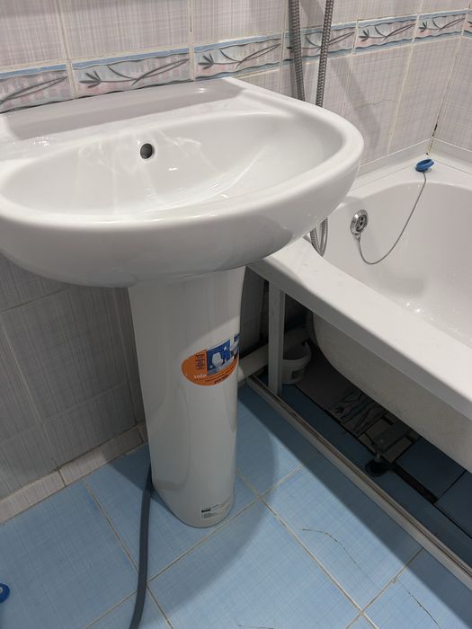 Раковина тюльпан