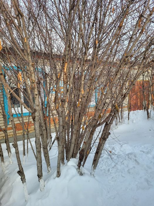 Продается частный дом