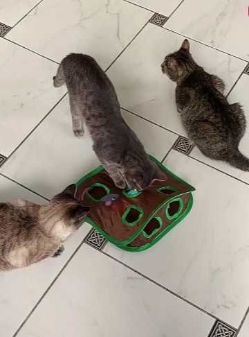 Мини тоннель "9 Норок" для кошек