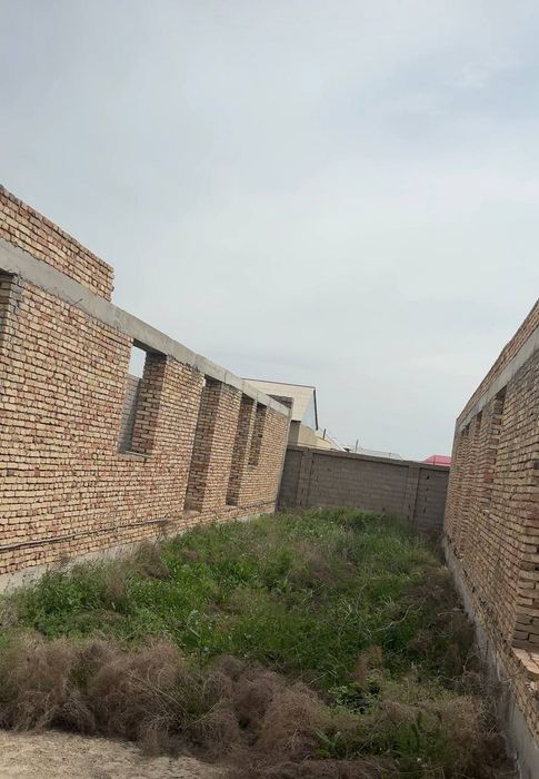 Янги шойхужа 6,сотих участка