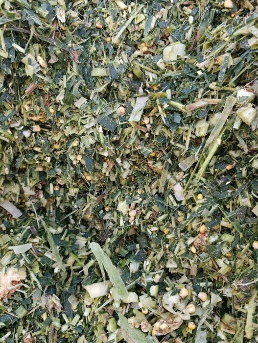 Silos donli va donsiz