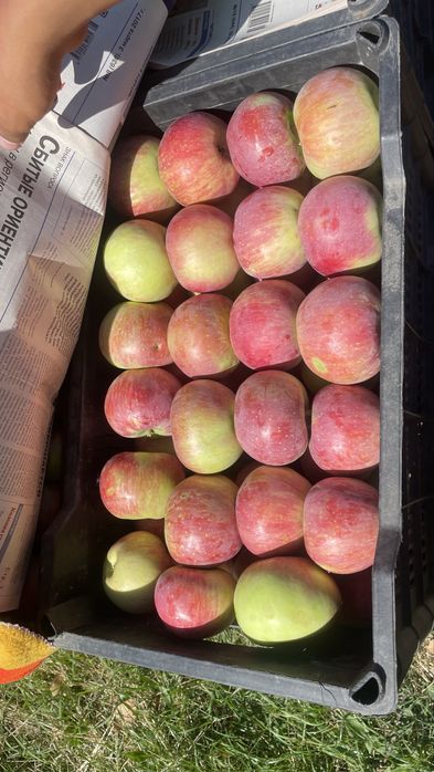 продам Алматинский АПОРТ