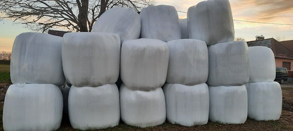 Vând baloți de lucernă uscată și infoliata și baloți de fan 2025