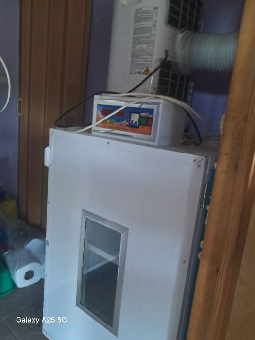 Vând 2 familii de struți producatori