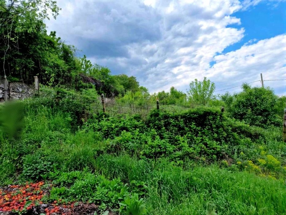 Оферта 57370 - Парцел в с. Брестник