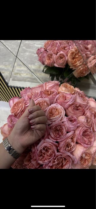 Пионовидный роза