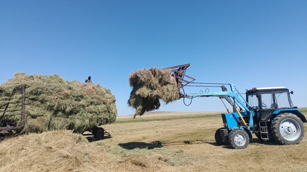 Кун в комплекте,  Ковш.
