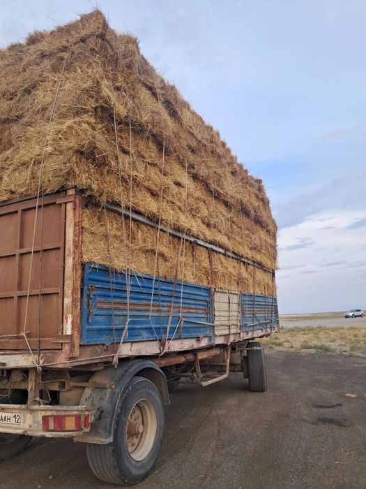 Шөп сатылады Актау