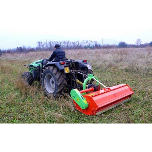 Taiat iarba buruieni ambrozie defrista