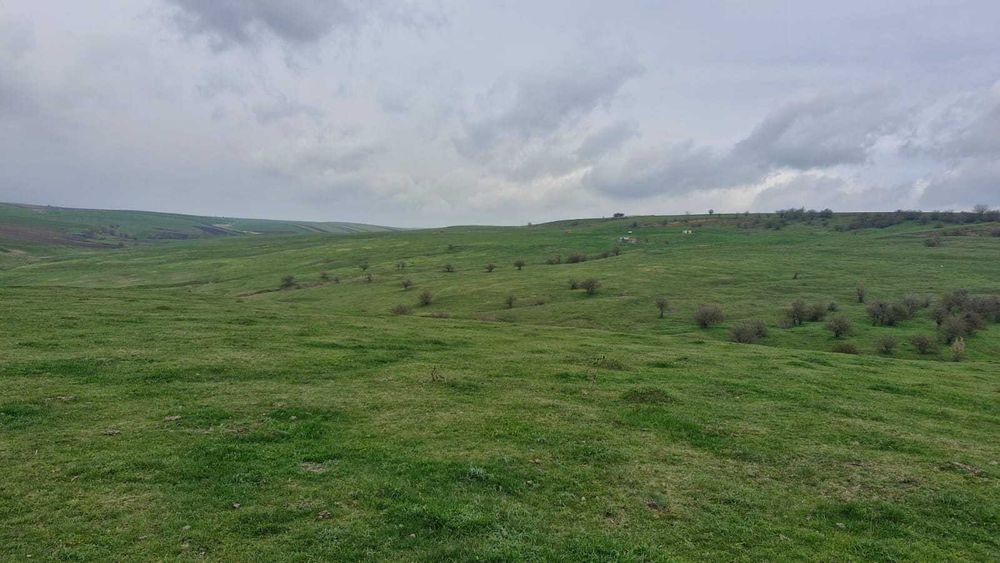 Teren Extravilan- Pășune