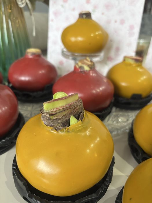 Луковицы Амариллиса. Свежие в наличии