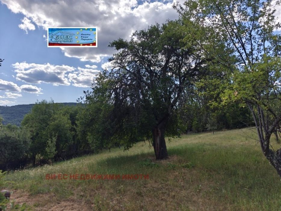 УПИ - 1563 м2 в с. Прибой