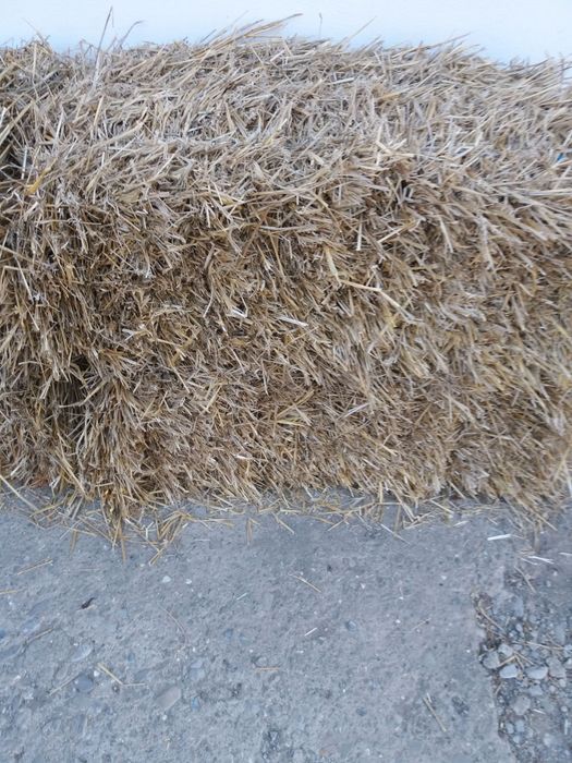 Baloți de paie drepugilar