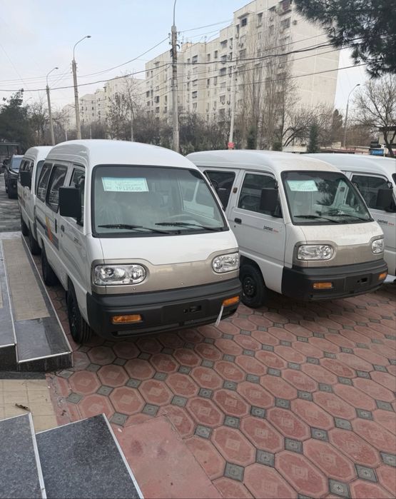 Damas 2026 shotsprafka