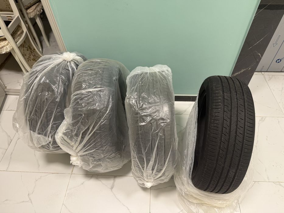 Шины 225/55/19 chao yang