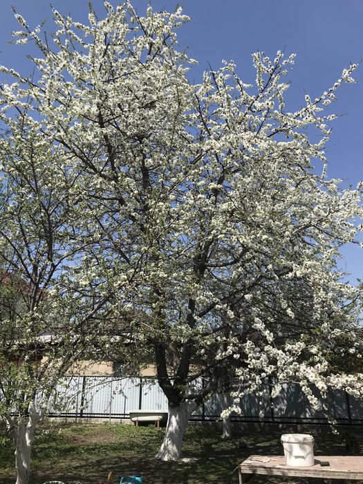 Дом в посёлке Абай