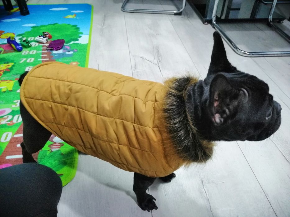 Поръчкови дрехи за кучета